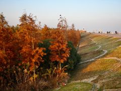 -南汇嘴观海公园