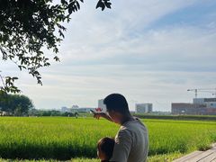 -光明小镇欢乐田园