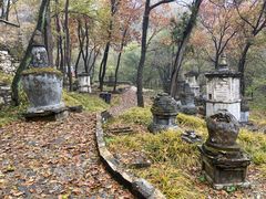 -北京上方山国家森林公园