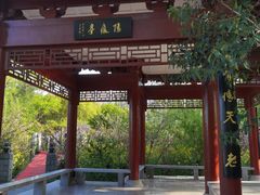 -南汇桃花村