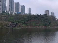 -重庆彩云湖湿地公园