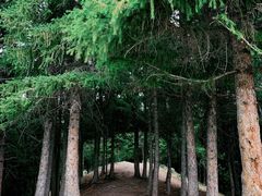 -丝绸之路山地度假区滑雪场