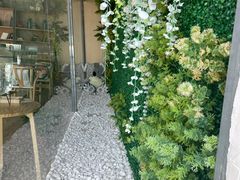 -了不起的考拉咖啡店(高新店)