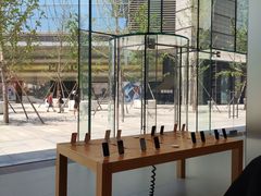 -Apple零售店(华贸购物中心店)