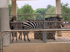 -石家庄市动物园
