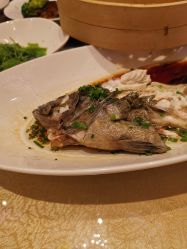 -上海外高桥喜来登酒店·宴会厅