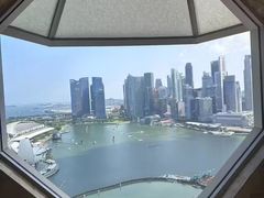 -新加坡丽思卡尔顿美年酒店