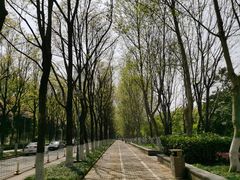 -后襄河公园