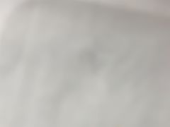 -奥兰多迪士尼动物王国乐园