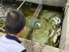 -北京龙庆四季香农家饭庄·灶台鱼·碳烤虹鳟鱼(龙庆峡店)