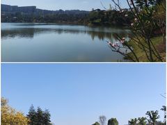 -枫香湖儿童公园