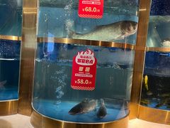 -蜀滋香鲜鱼美蛙火锅(339店)