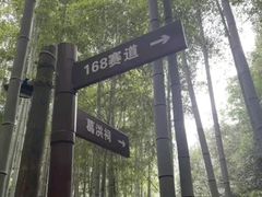 -莫干山风景区