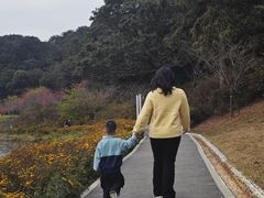 -广州市石门国家森林公园