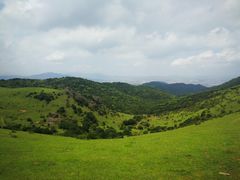 -大姆山草场