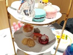 -IPSTAR|潮玩星球(天府广场店)