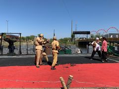 -白洋淀景区