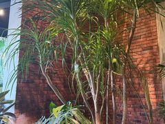 -J Create城市露营咖啡·简餐·宠物(上海动物园店)