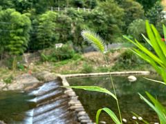-石舍洒秀咖啡馆