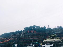 -枇杷园食为鲜火锅(南山店)