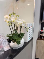 -上海首尔丽格医疗美容医院