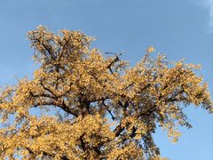 -苏州碑刻博物馆