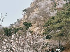 -天津盘山风景名胜区
