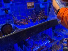 -協成海鮮火鍋(老店)