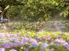 -名花谷生态庄园