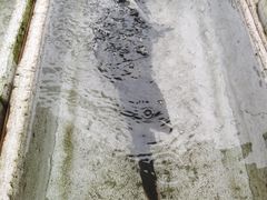 -外伶仃岛海鲜市场