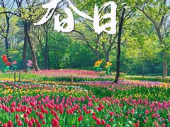 -沈阳植物园