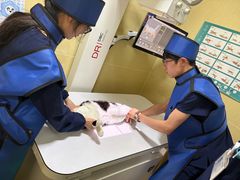 -瑞派天使宠物医院·神经外科·骨科·核磁CT(洛川中路店)