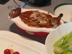 -秀儿四九城·新京菜(亚运村鸟巢店)