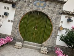 -五龙城郊森林公园