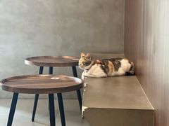 -Again Coffee Roaster(香蜜湖店)