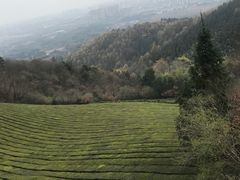 -敬亭山风景名胜区