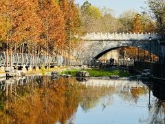 -白水寺森林公园
