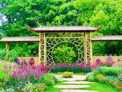 -上海共青森林公园