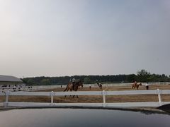 -月河湾马术俱乐部(朝阳店)