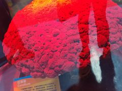 -西安曲江海洋极地公园