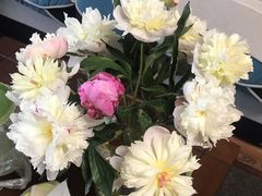 -盒马鲜生(顺义店)