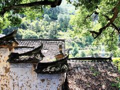 -杨家堂村