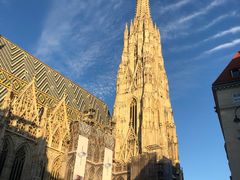 -斯蒂芬主教座堂(Stephansdom)