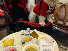 -比斯特上海购物村精品奥特莱斯