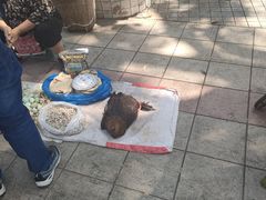 -西双版纳集贸市场