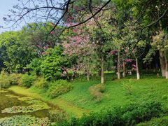 -东莞植物园