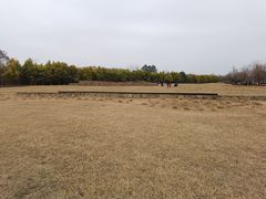 -白鹭湾湿地公园