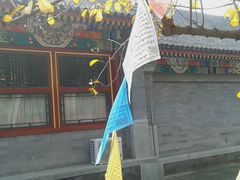 -紫竹院公园冰场