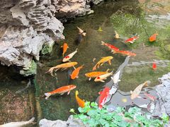 -广州白天鹅宾馆