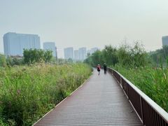 -西海子公园